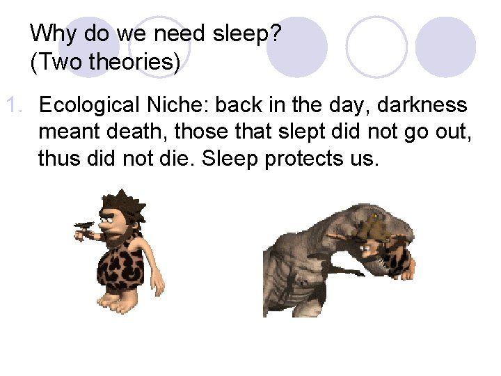Why do we need sleep? (Two theories) 1. Ecological Niche: back in the day,