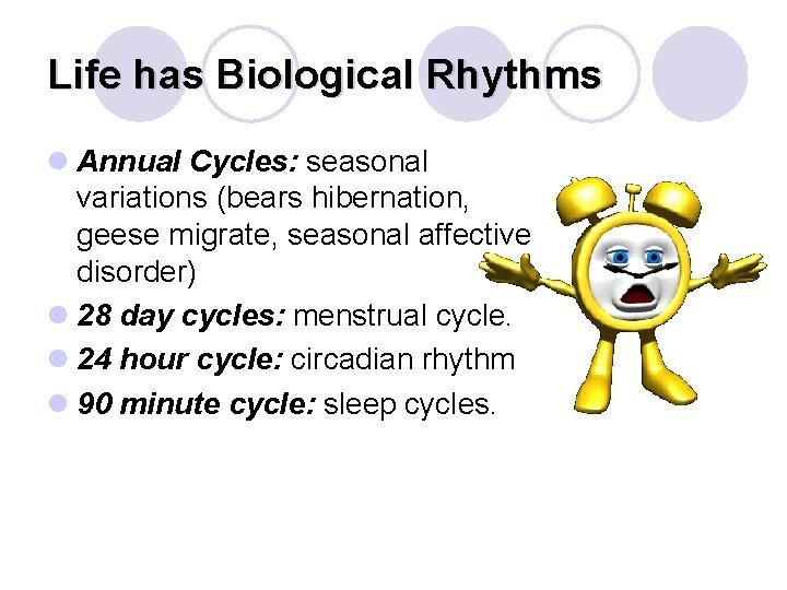 Life has Biological Rhythms l Annual Cycles: seasonal variations (bears hibernation, geese migrate, seasonal