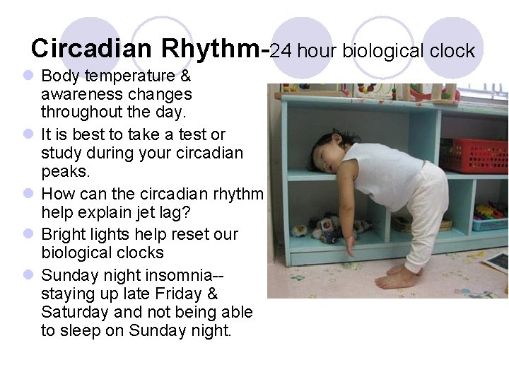 Circadian Rhythm-24 hour biological clock l Body temperature & awareness changes throughout the day.