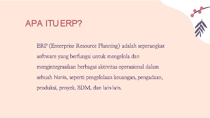 APA ITU ERP? 