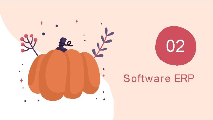 02 Software ERP 02 Software ERP