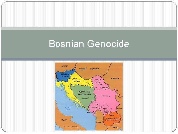 Bosnian Genocide 