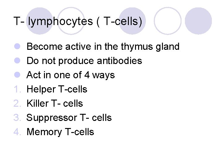 T- lymphocytes ( T-cells) l l l 1. 2. 3. 4. Become active in