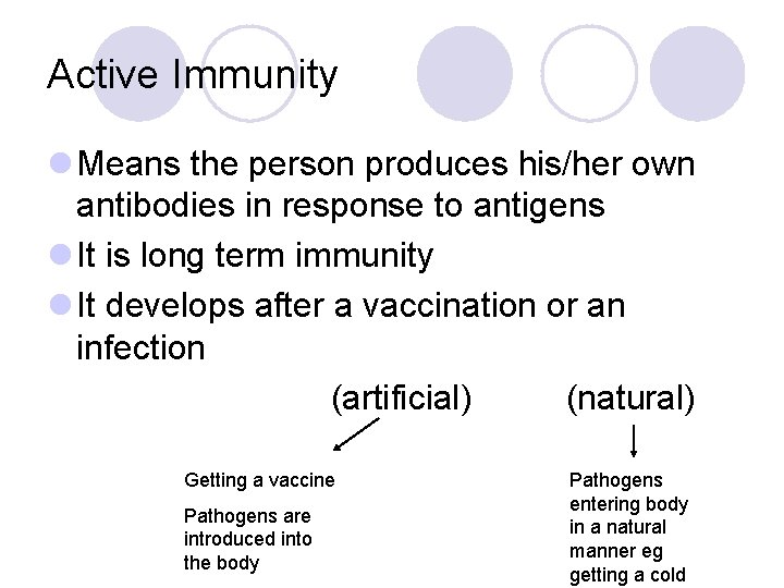 Active Immunity l Means the person produces his/her own antibodies in response to antigens