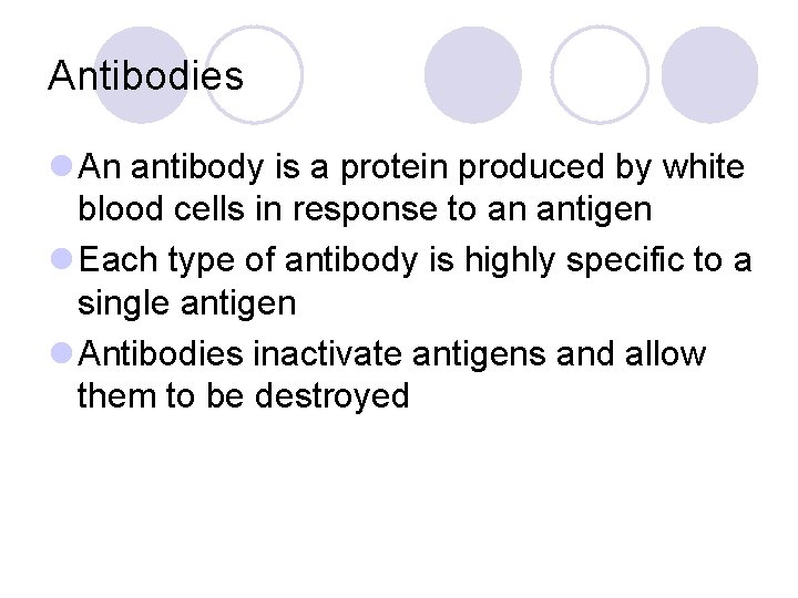 Antibodies l An antibody is a protein produced by white blood cells in response