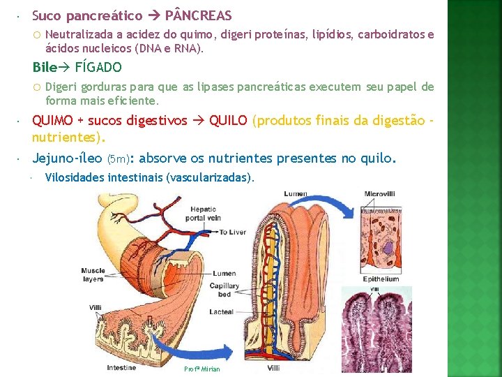  Suco pancreático P NCREAS Neutralizada a acidez do quimo, digeri proteínas, lipídios, carboidratos