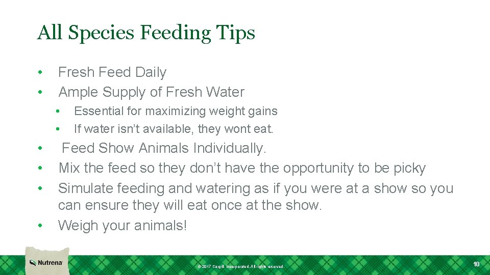 All Species Feeding Tips • • Fresh Feed Daily Ample Supply of Fresh Water