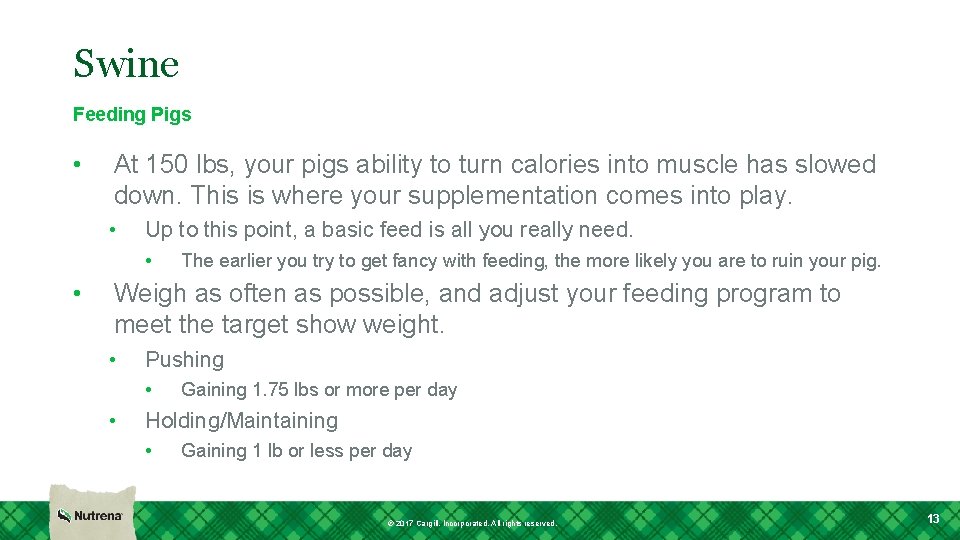 Swine Feeding Pigs • At 150 lbs, your pigs ability to turn calories into