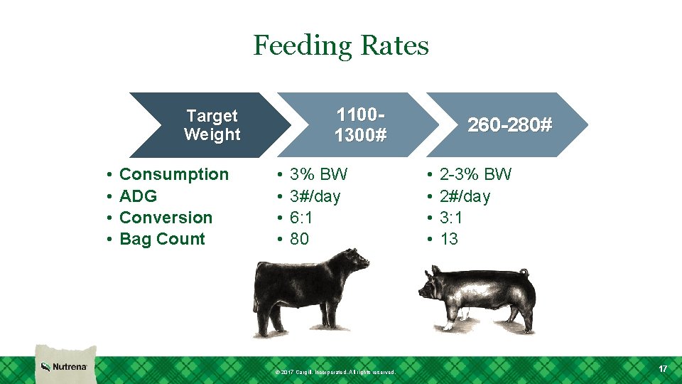 Feeding Rates 11001300# Target Weight • • Consumption ADG Conversion Bag Count • •