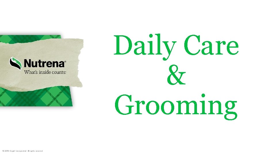 Daily Care & Grooming © 2018 Cargill, Incorporated. All rights reserved. 