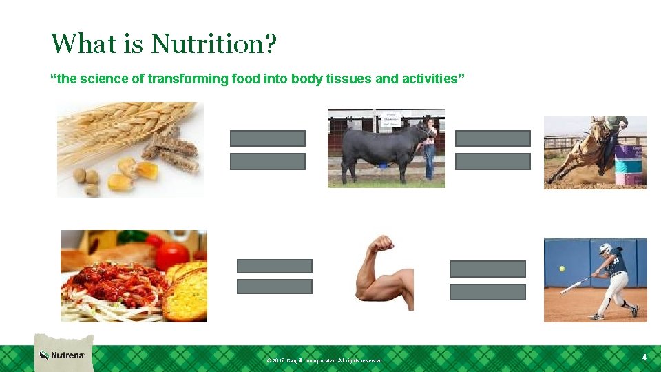 What is Nutrition? “the science of transforming food into body tissues and activities” ©