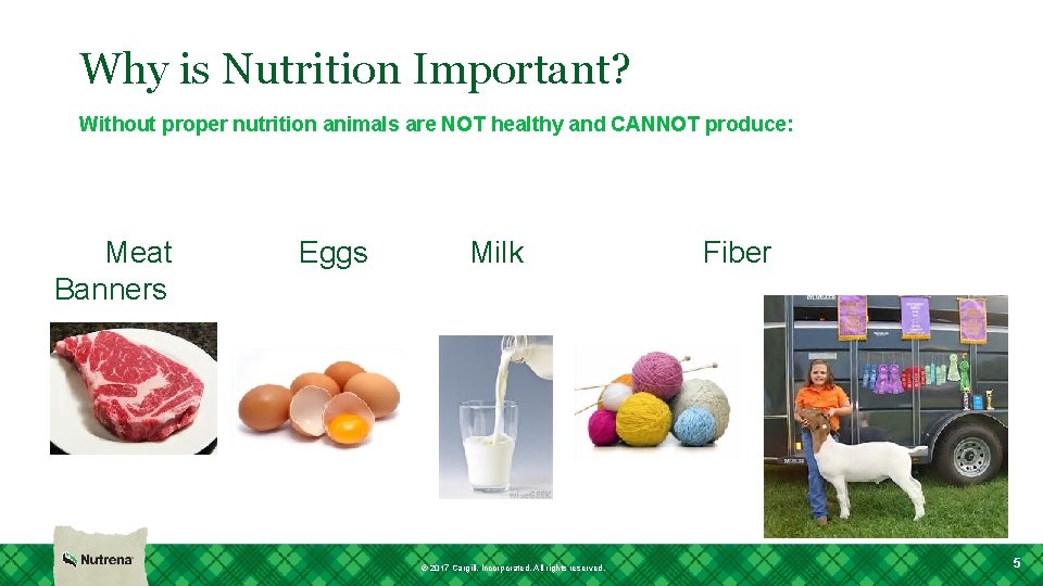 Why is Nutrition Important? Without proper nutrition animals are NOT healthy and CANNOT produce: