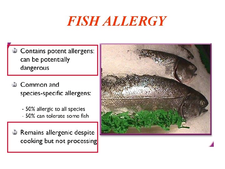 FISH ALLERGY 