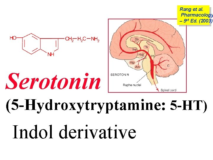 Rang et al. Pharmacology – 5 st Ed. (2003) Serotonin (5 -Hydroxytryptamine: 5 -HT)