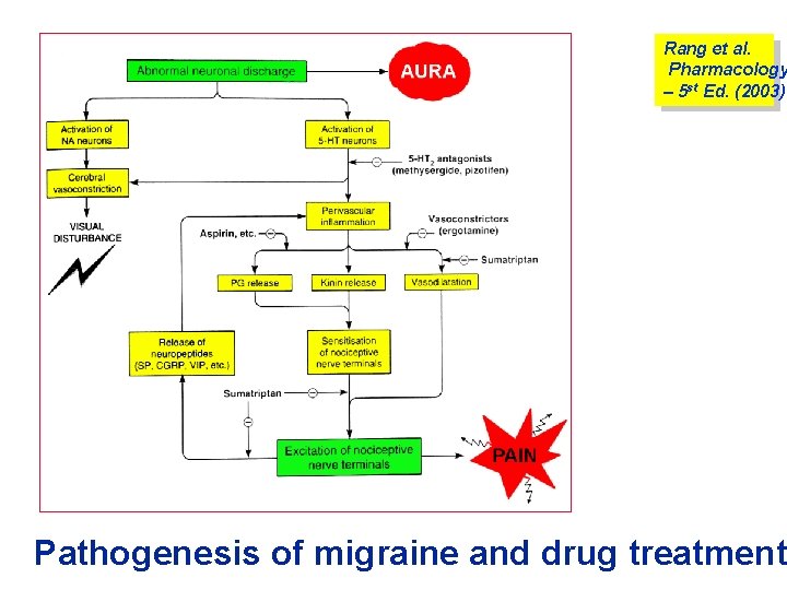 Rang et al. Pharmacology – 5 st Ed. (2003) Pathogenesis of migraine and drug