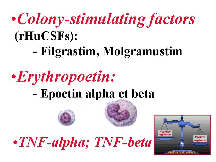  • Colony-stimulating factors (r. Hu. CSFs): - Filgrastim, Molgramustim • Erythropoetin: - Epoetin