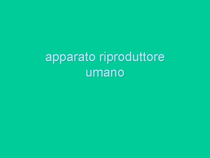 apparato riproduttore umano 