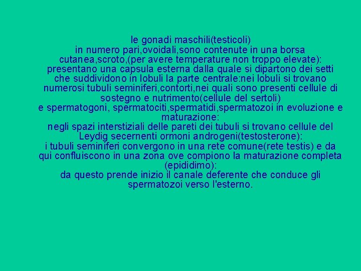 le gonadi maschili(testicoli) in numero pari, ovoidali, sono contenute in una borsa cutanea, scroto,