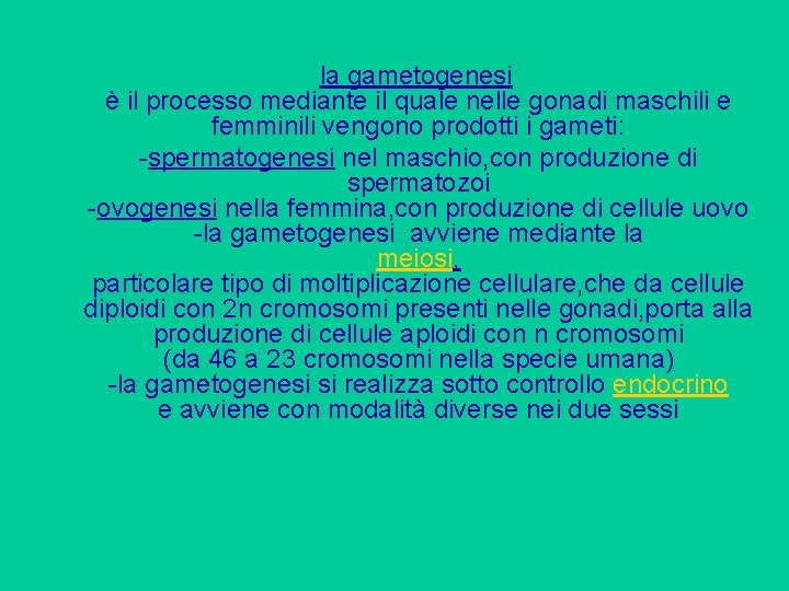 la gametogenesi è il processo mediante il quale nelle gonadi maschili e femminili vengono