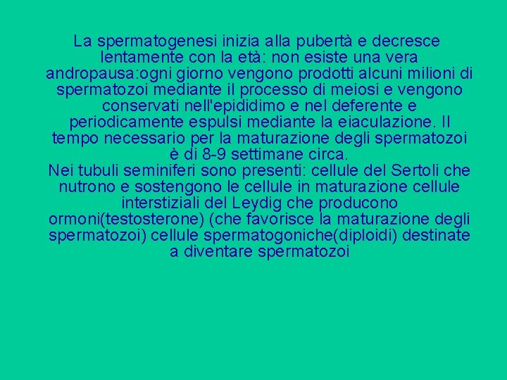 La spermatogenesi inizia alla pubertà e decresce lentamente con la età: non esiste una