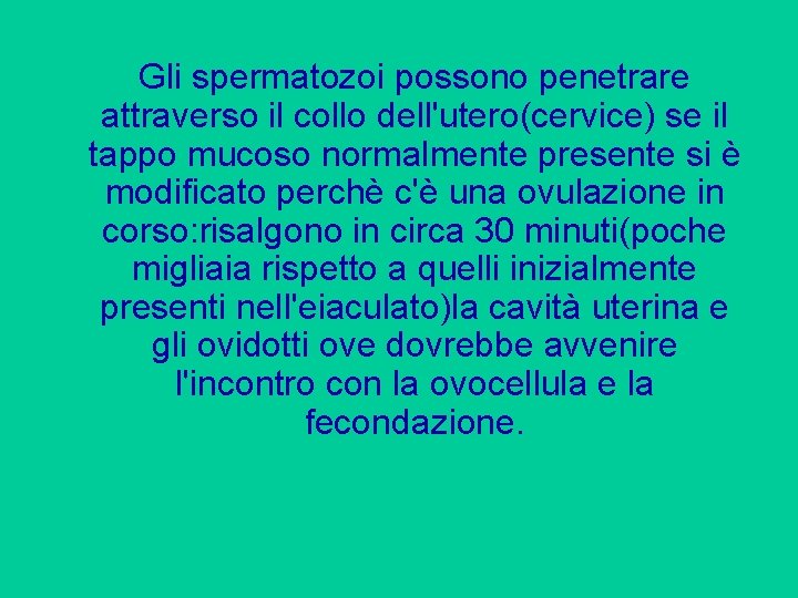 Gli spermatozoi possono penetrare attraverso il collo dell'utero(cervice) se il tappo mucoso normalmente presente