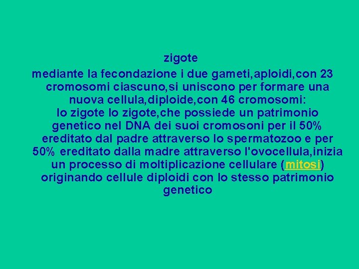 zigote mediante la fecondazione i due gameti, aploidi, con 23 cromosomi ciascuno, si uniscono