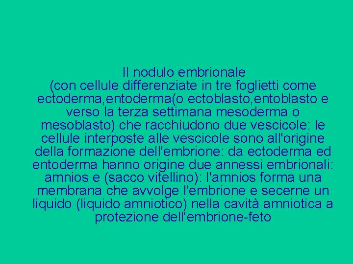 Il nodulo embrionale (con cellule differenziate in tre foglietti come ectoderma, entoderma(o ectoblasto, entoblasto