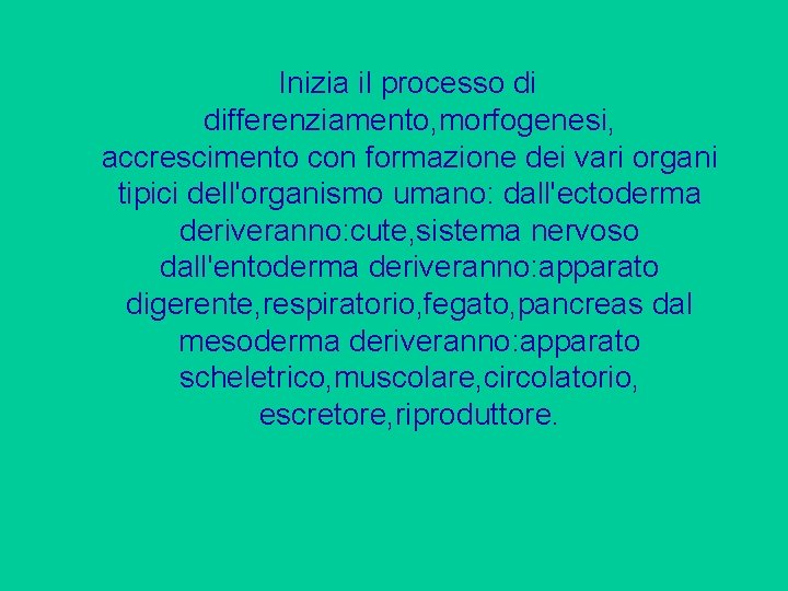 Inizia il processo di differenziamento, morfogenesi, accrescimento con formazione dei vari organi tipici dell'organismo