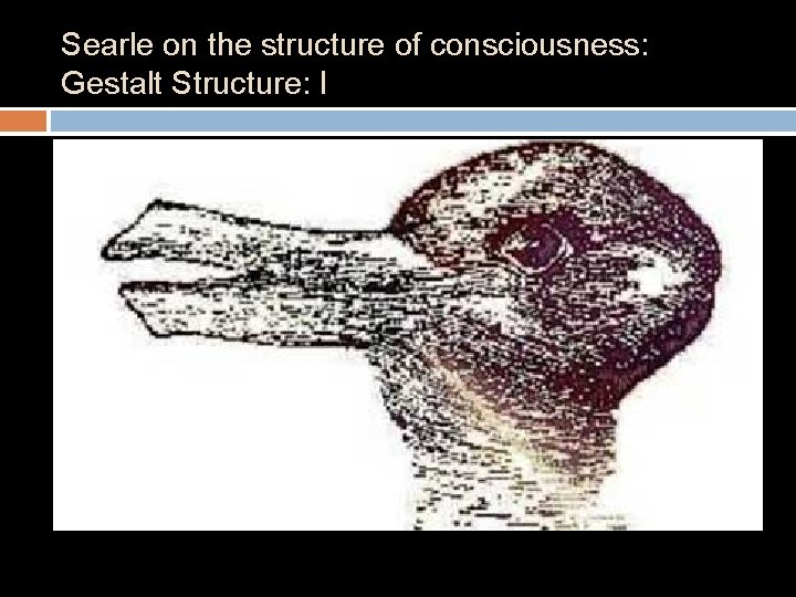 Searle on the structure of consciousness: Gestalt Structure: I 