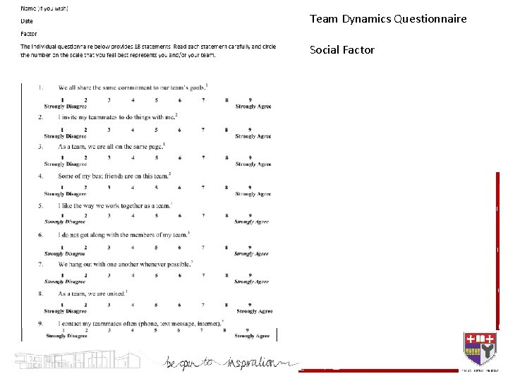 Team Dynamics Questionnaire Social Factor 