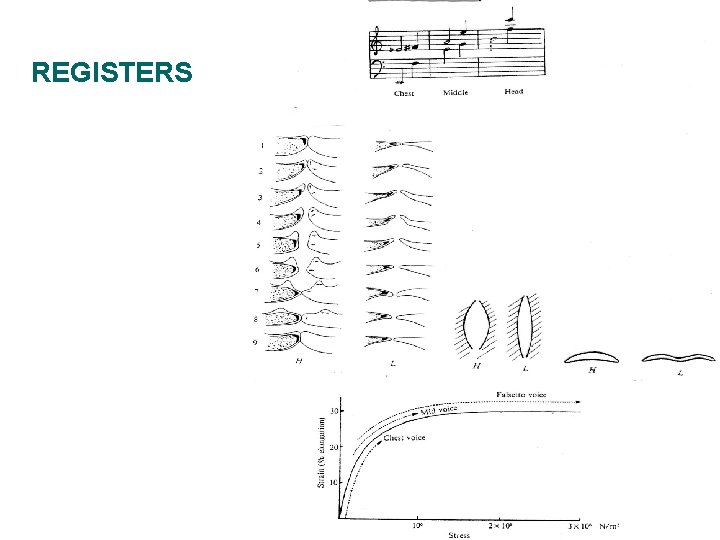 REGISTERS 