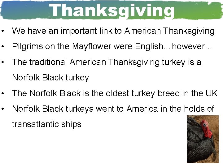 Thanksgiving • We have an important link to American Thanksgiving • Pilgrims on the