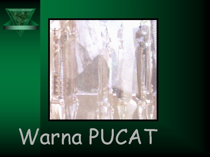 Warna PUCAT 