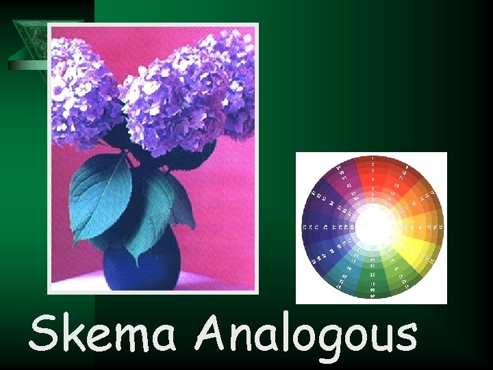 Skema Analogous 