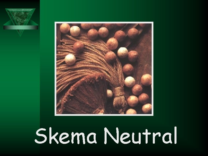 Skema Neutral 