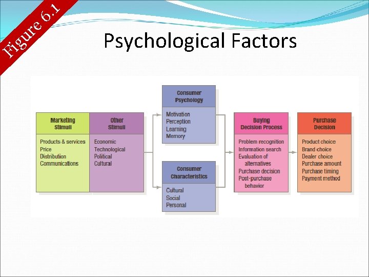 g i F e r u 1. 6 Psychological Factors 