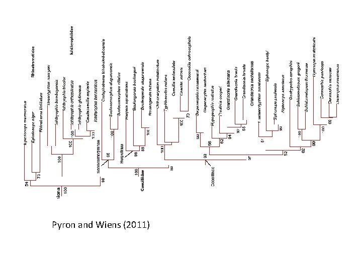 Pyron and Wiens (2011) 