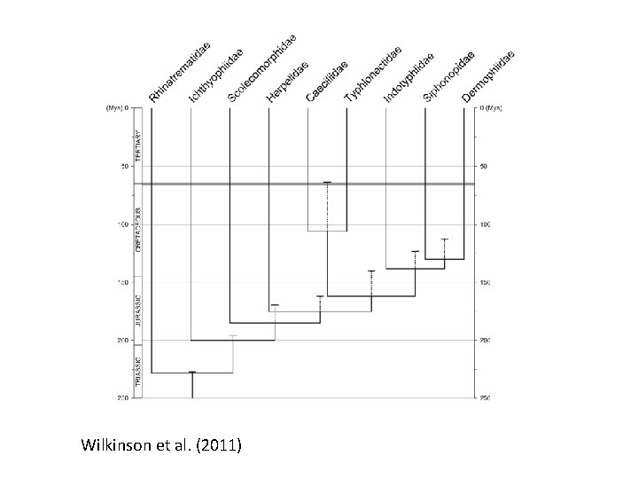 Wilkinson et al. (2011) 