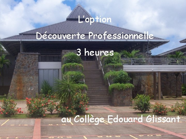 L’option Découverte Professionnelle 3 heures au Collège Edouard Glissant 