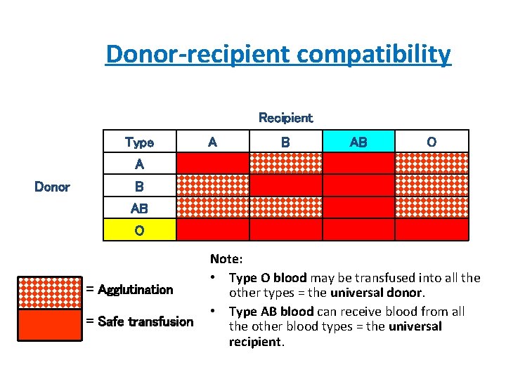 Donor-recipient compatibility Recipient Type A B AB O A Donor B AB O =