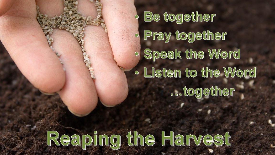  • • Be together Pray together Speak the Word Listen to the Word