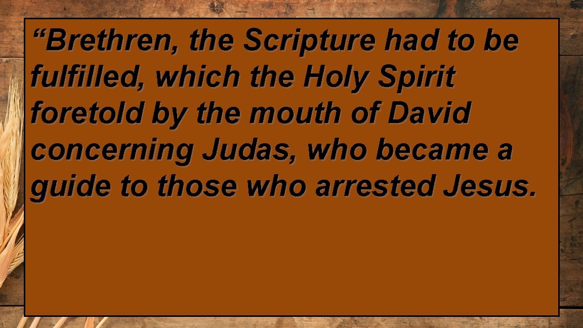 “Brethren, the Scripture had to be fulfilled, which the Holy Spirit foretold by the