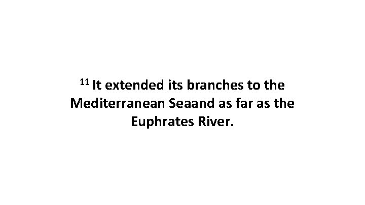 11 It extended its branches to the Mediterranean Seaand as far as the Euphrates
