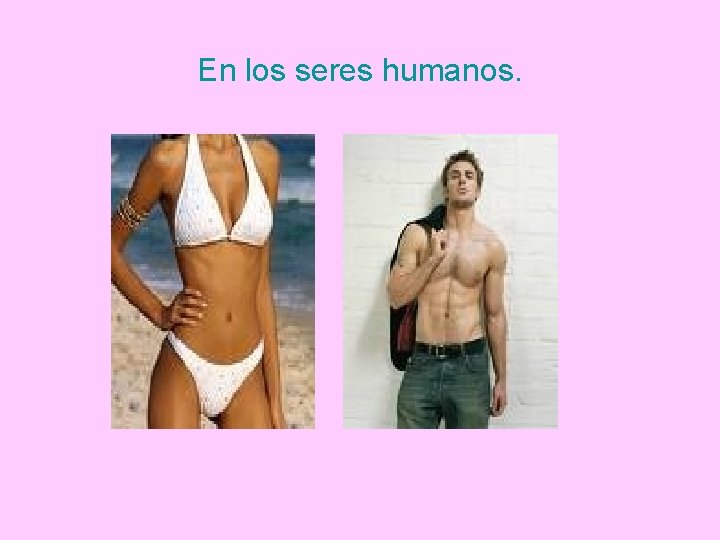 En los seres humanos. 