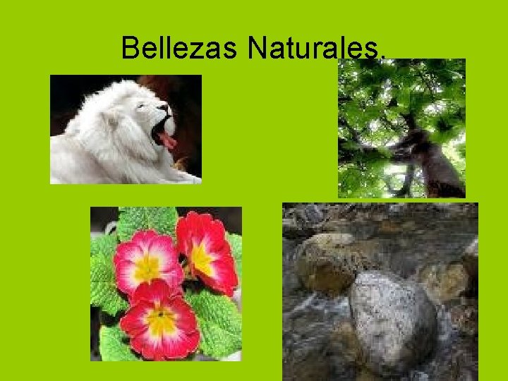 Bellezas Naturales. 