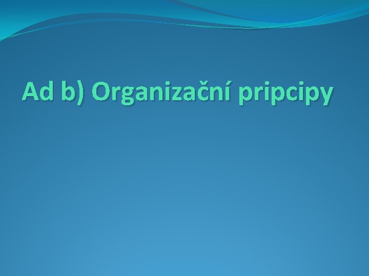 Ad b) Organizační pripcipy 