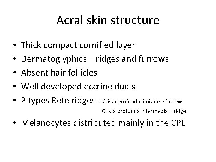 Acral skin structure • • • Thick compact cornified layer Dermatoglyphics – ridges and Acral skin structure • • • Thick compact cornified layer Dermatoglyphics – ridges and