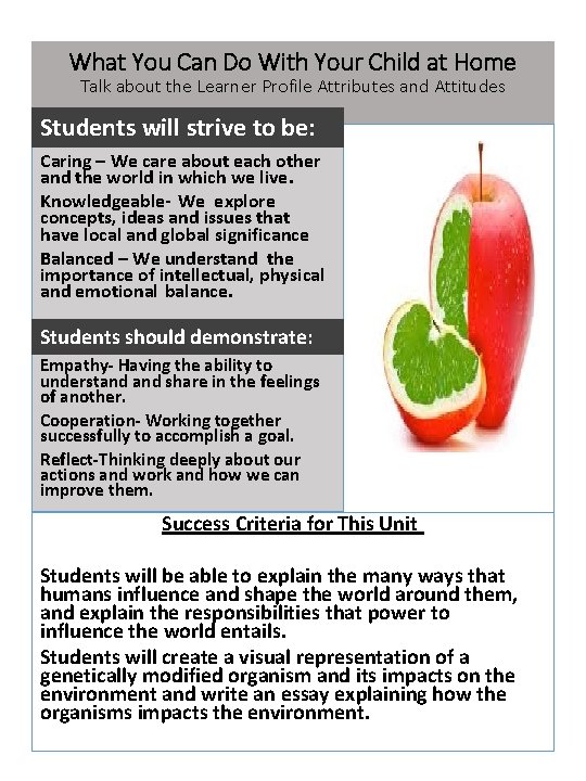 What You Can Do With Your Child at Home Talk about the Learner Profile