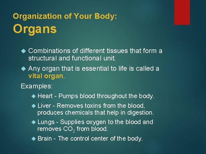 Organization of Your Body: Organs Combinations of different tissues that form a structural and