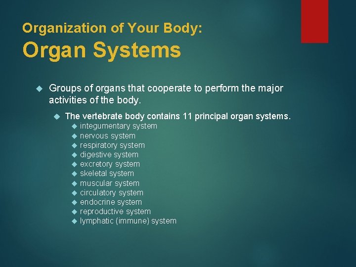Organization of Your Body: Organ Systems Groups of organs that cooperate to perform the